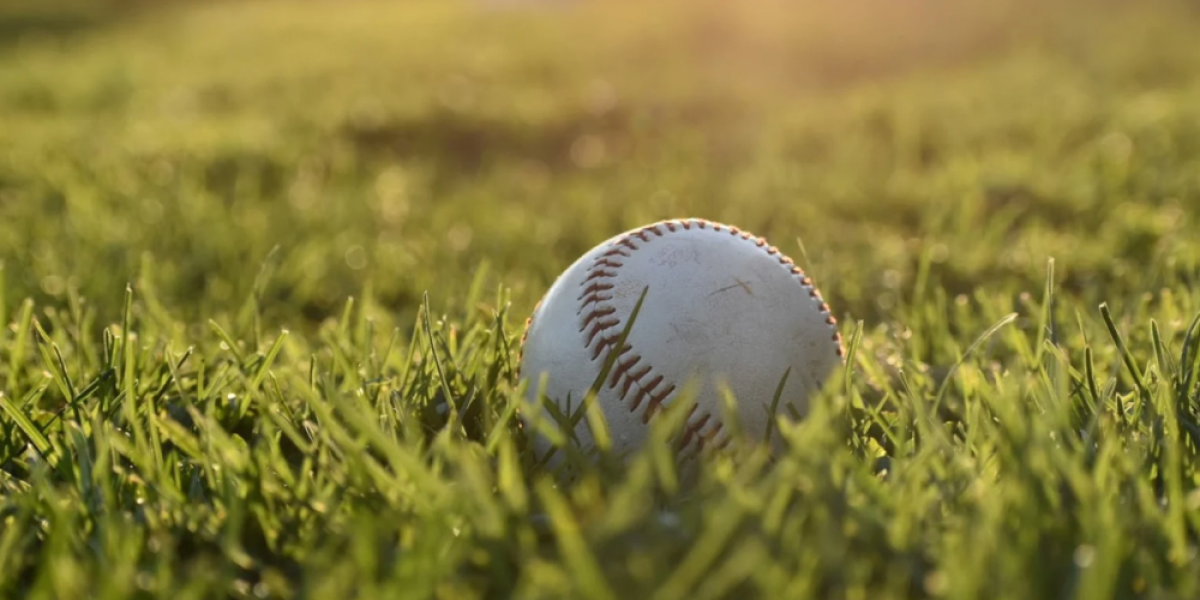A baseball in a field of grass at sunset.